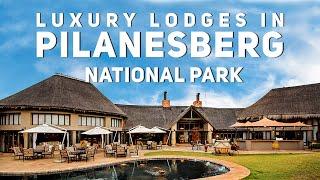 Luxury Lodges in Pilanesberg National Park | South Africa