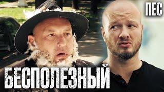  ГЛУПЫЙ СЫЩИК! Смешной ДЕТЕКТИВ 2022 - Сериал ПЕС 2022 - Лучшие серии