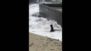 ️ Warning! 2024 Cannon Beach Oregon King Tides Are Back.