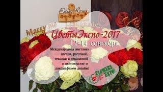 Международная выставка  цветов в Крокус Экспо  в Москве 2017 - ФОТОКОЛЛАЖ