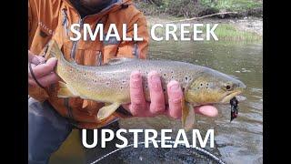 BROWN TROUT UPSTREAM. ART MERK FLY FISHING ADVENTURES S1E3