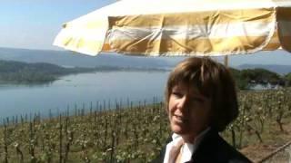 Presentation of property in Switzerland by Birgit Schönhofen from ERA Seeland