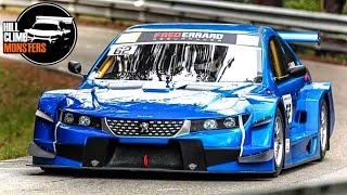 TOP 15 MONSTERS || WOLSFELD HillClimb 2024