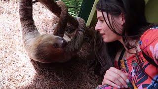 Meeting a SLOTH!!!