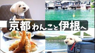 京都伊根にわんこと行ってきた！ドギーズリゾート伊根温泉 / ＃犬連れ旅 #犬と泊まれるホテル  #舟屋