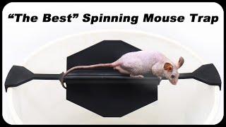 "THE BEST" Spinning Mouse/Rat trap - 3D printed bucket trap. Mousetrap Monday