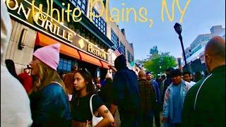 Welcome to White Plains, NY | Walkthrough Travel Vlog, Weschester County