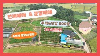 (704) 당진시 신평면 넓은 텃밭 있는 전원주택 / 전체 또는 분할 매매 가능해요.  가성비 좋은 500평과 주택 추천/ 대추나무농가소득  [전원주택][당진전원주택][당진부동산]