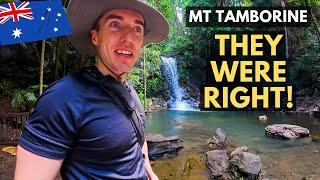 They Told Us To Come Here! Mount Tamborine - (Cedar Creek & Curtis Falls) | Queensland, Australia 