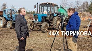Фермер Александр Тюриков. Рассказ о хозяйстве. Разведенение мясного скота. Бойня