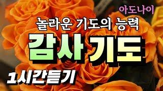 감사 기도 | 놀라운 기도의 능력 | 감사기도 1시간 듣기