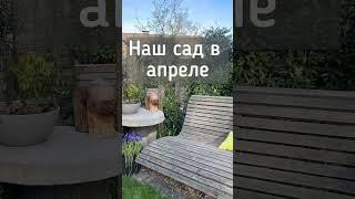 Всё! Сад можно показывать, навели порядок️️️️ #shortvideo #садоводничество #сад #всаду