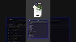 Building a Flip Card Animation on Hover with HTML and CSS | Programming Hub