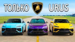 Кто победит в заезде: Lamborghini Urus SE Hybrid или Performante или же S?