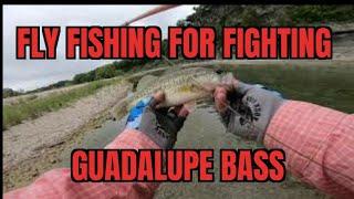 The Fighting Guadalupe Bass of the Medina River on the Fly Rod