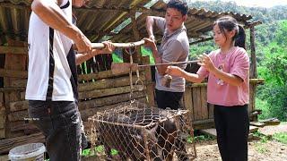 Selling Wild Boars, Sawing Wood for Building New Bridges | Family Farm