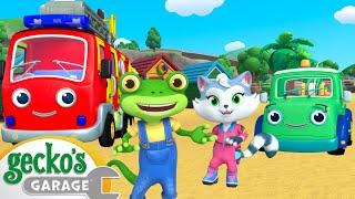 Gecko's Animal Pals' Beach Day | Gecko's Animal Pals | Animal & Vehicle Cartoons | Cartoons for Kids