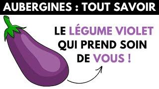 Aubergine : ses dangers et bienfaits pour la santé - Dr Santé