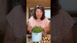 How to Cut and Use Thyme in your Cooking
