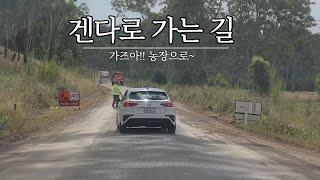 겐다 시골 귤 따러 가자! 호주 운전 간접체험
