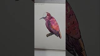 10. Snowcap Hummingbird. #birbfest #birbfest2025 #SnowcapHummingbird  #painting #art #sketchbook