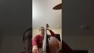 Double Bass Day 4 Deck the Halls #christmasmusic #christmascarol #doublebass #doublebassist #bass