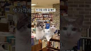 친구와 서점 갈 때ㅋㅋㅋ #고양이 #고양이밈
