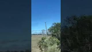 Country life #Victoria #Warragul