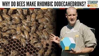 Why Do Bees Make Rhombic Dodecahedrons?