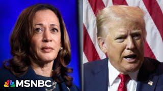 Patriotic defectors: Top Republicans dump Trump for Harris-Walz