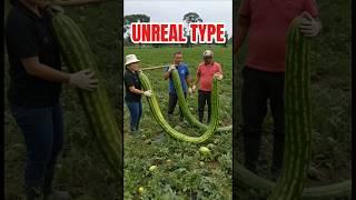Unreal new type of watermelon found #fruit #farming #watermelon #farmer #harvest