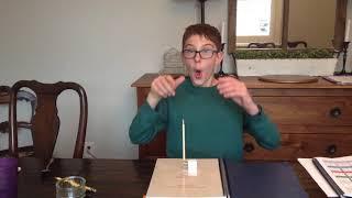 Impossible Pencil Flip Trick Shot