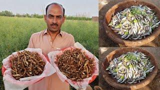 How to Cook Small Fish with Desi Style | Smart Village Food