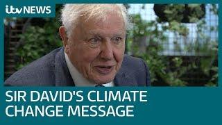 Sir David Attenborough calls for 'urgent' climate change action | ITV News