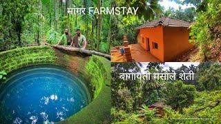 रानमाणूस चा "मांगर FARMSTAY" आणि बागायती शेती|SPICE FARM STAY IN KONKAN