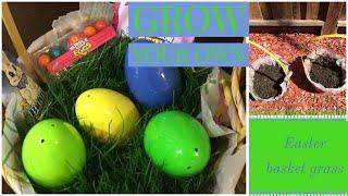 REAL GRASS EASTER BASKET || grow your own grass for Easter