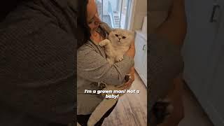 Cat is crying like a baby#cat #csts