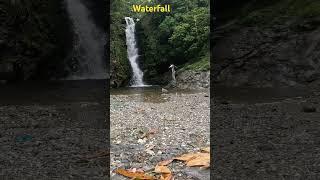 Village beautiful waterfal l #village #waterfall #trending #shorts