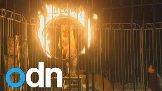 Circus wild animal ban in Mexico