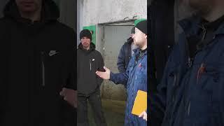 Провели ОЦЕНКУ ЛОКОМОЦИИ #ветеринар #сельскоехозяйство #корова #животные #cow #hooftrimming #ферма