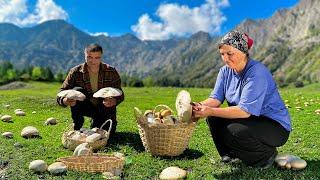  Collecting Wild Mushrooms in Azerbaijan’s Mountains | Traditional Mushroom and Potato Recipe