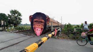 Furious chimpanzee Headed Malda intercity Express Dangerous Angry Honking Skipping Railgate