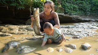 Full video of 4 episodes: Single mother and baby go catch fish, trap fish, primitive fishing methods