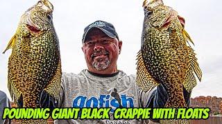 GIANT BLACK CRAPPIE WITH FLOATS -Pre-Spawn Super Slabs!