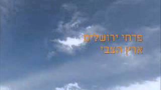 פרחי ירושלים - ארץ הצבי