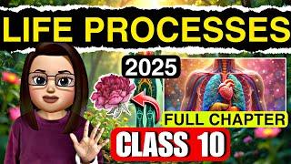 Life Processes Class 10th One Shot | Life process Complete Chapter Animated in 40 minutes