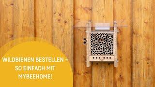 MyBeeHome CH: Dein Weg zu eigenen Wildbienen!