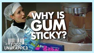 What Makes Chewing Gum Sticky? | Food Unwrapped