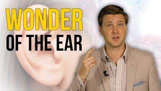 Wonder of the Ear | David Rives