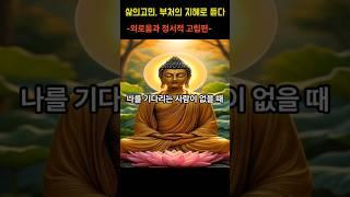 삶의고민,부처의 지혜로 듣다 -외로움과 정서적고립편- 제2화 나를 기다리는 사람이 없을때 #부처님말씀 #명언 #자기수행 #부처님말씀 #명상 #자기수행 #고민 #인생의도전 #인생조언